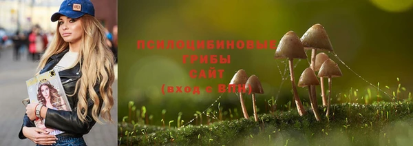 2c-b Осинники