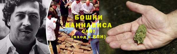 стафф Няндома