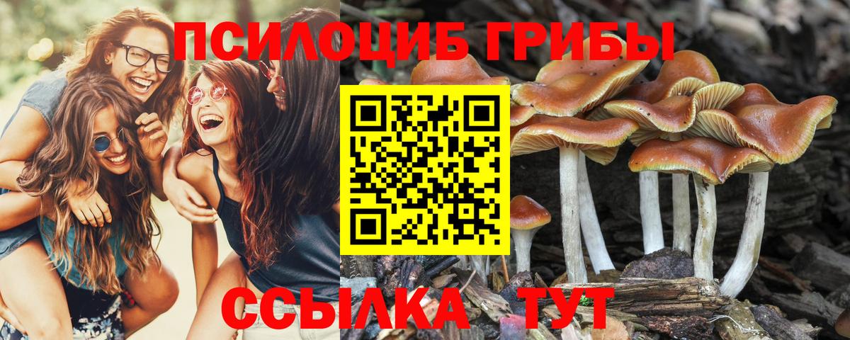 Галлюциногенные грибы прущие грибы Тихорецк